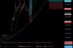 NEIRO/USDT走势分析：别被谣言吓到！