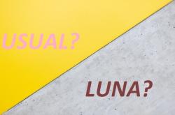 LUNA与USUAL：算法稳定币与法币抵押稳定币的比较